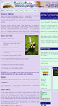 Mobile Screenshot of benderhealing.com